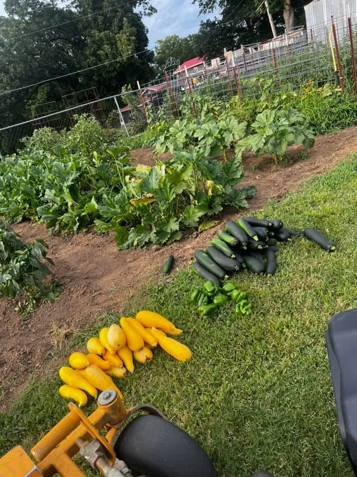 Lawn Care Project